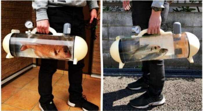 Японская компания разработала переносной аквариум