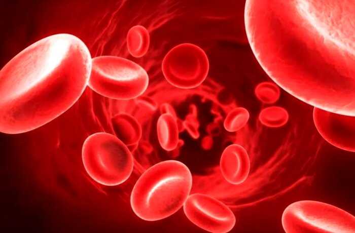8 фактов о крови, которые вы могли не знать