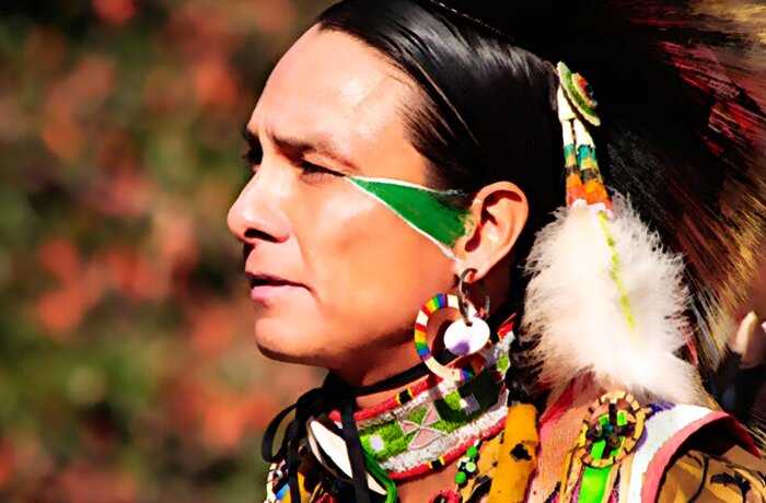 Почему индейцев всегда изображают без бороды и усов