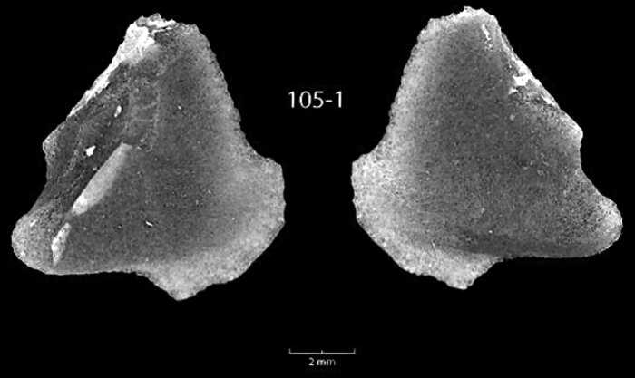 На дне озера Гурон нашли артефакты возрастом 9000 лет. Они из материала, которого нет в радиусе 4000 км