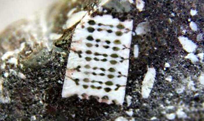 В руки ученых попал похожий на микрочип предмет возрастом 250 миллионов лет. Его нашли в камне