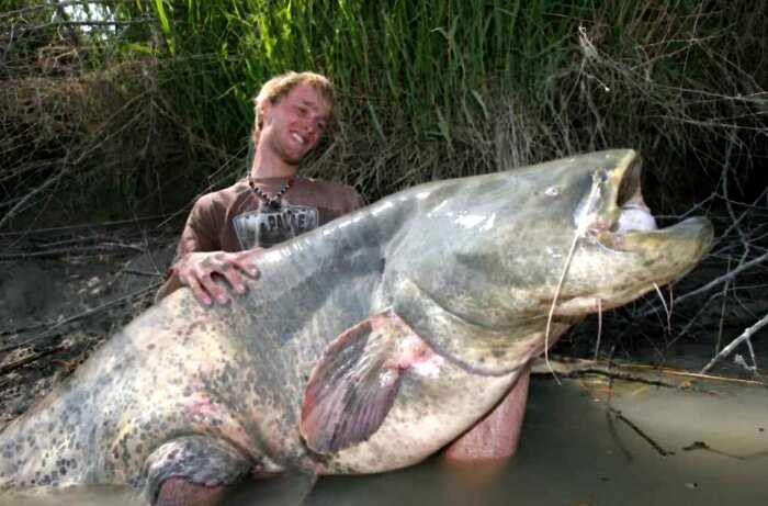 10 самых больших существ, когда-либо пойманных рыбаками