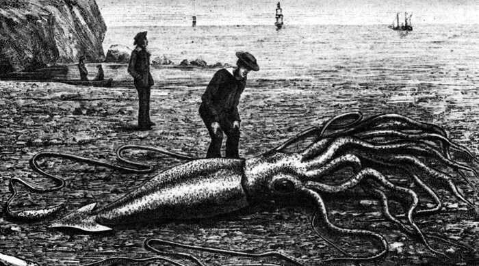 10 самых больших существ, когда-либо пойманных рыбаками