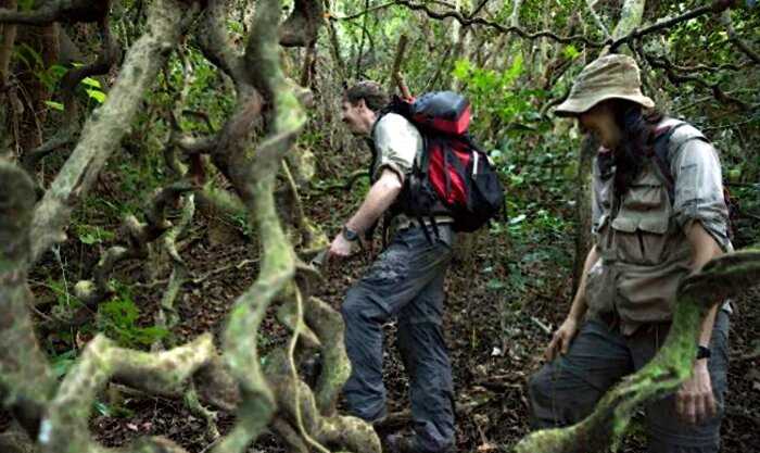 «Затерянный мир» на горе Лико. На высоте 1100 метров изолирован лес, где живут создания эпохи динозавров