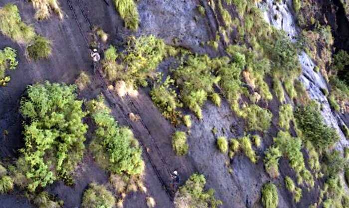 «Затерянный мир» на горе Лико. На высоте 1100 метров изолирован лес, где живут создания эпохи динозавров