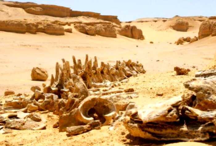 7 загадок пустыни Сахара, которые ученые смогли раскрыть лишь недавно