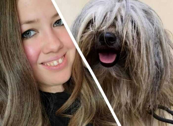 Девушка шокировала интернет, показав невероятное перевоплощение пса после стрижки — в милое создание