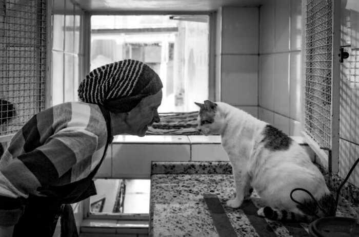Сильные снимки фотографа, показывающие, что значит работать в приюте для животных