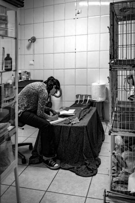 Сильные снимки фотографа, показывающие, что значит работать в приюте для животных