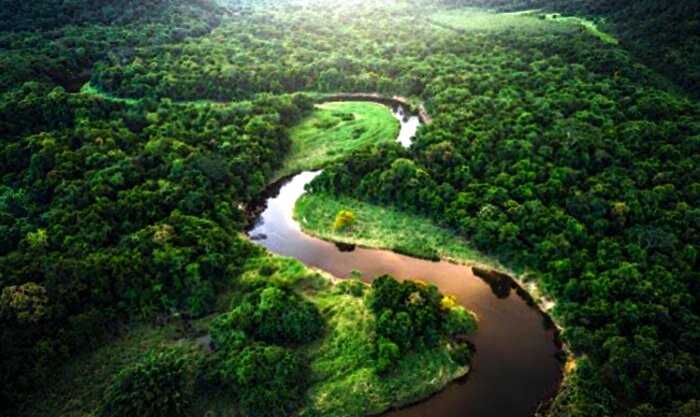 Скрытый мир джунглей Амазонии. Площадь леса 5 миллионов километров и пятая часть из него не изучена