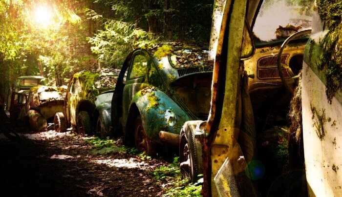 Пробка длиной 70 лет. Автомобили заехали в лес и остались стоять навсегда