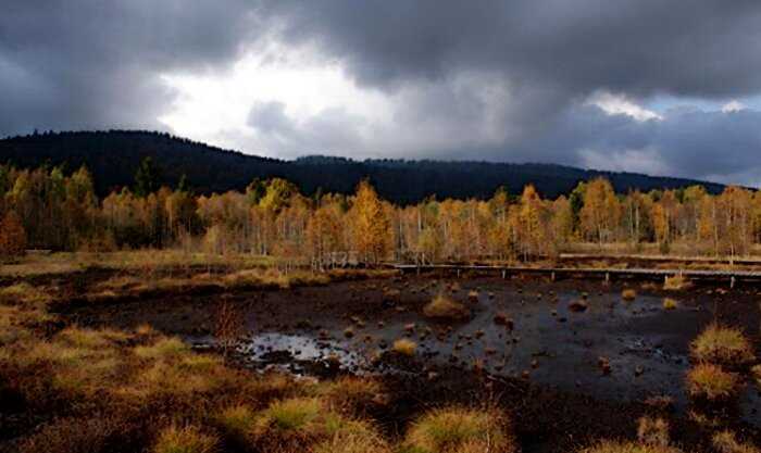В Сибири находится самое большое болото мира. Его площадь равна небольшому морю