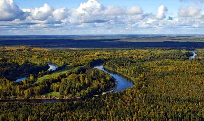 В Сибири находится самое большое болото мира. Его площадь равна небольшому морю