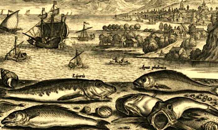 Почему моряки почти не ловили рыбу за бортом, даже когда еда на корабле заканчивалась