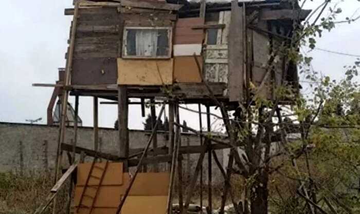 Дача на дереве в Сочи за 2 миллиона: на Авито выставили «место для пикников»
