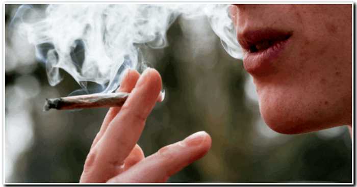 Канадская компания платит по 50 долларов в час за курение марихуаны