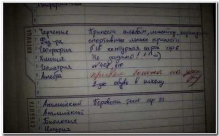 15+ неистовых записей в школьных дневниках, которые поднимут настроение на все 100