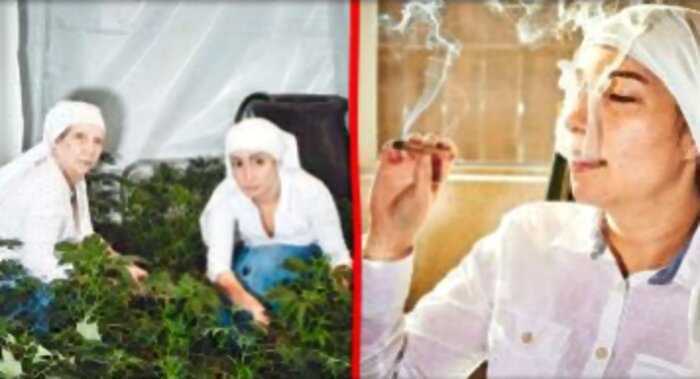 “На все воля Божья”: как калифорнийские монахини выращивают марихуану