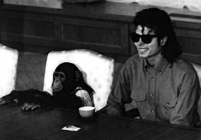 “Животная преданность”: обезьянка Майкла Джексона пыталась покончить собой, узнав о смерти хозяина