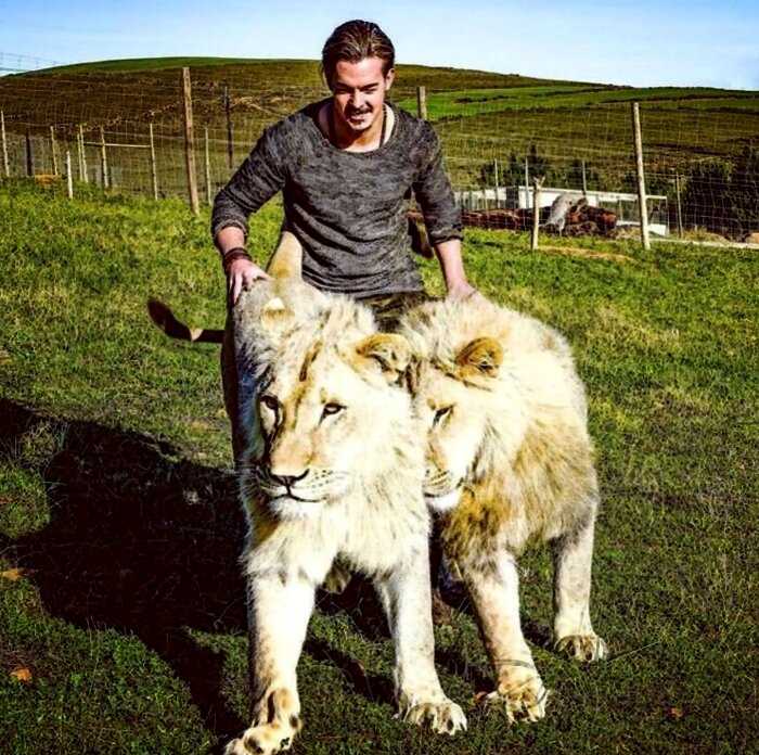 Парень из Швейцарии оставил высокооплачиваемую работу и переехал в Африку спасать покалеченных животных