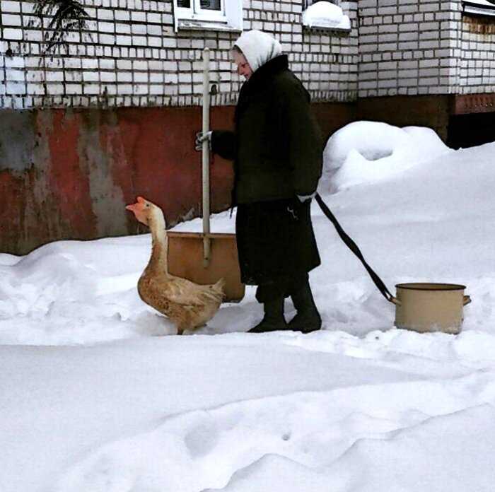 15 душетрепещущих зарисовок о том, как проводят свои будни наши старушки