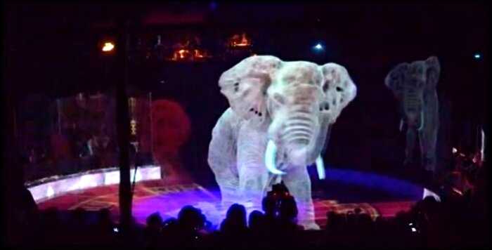 «Идеальное решение»: немецкий цирк использует голограммы вместо живых животных