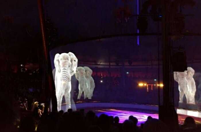 «Идеальное решение»: немецкий цирк использует голограммы вместо живых животных