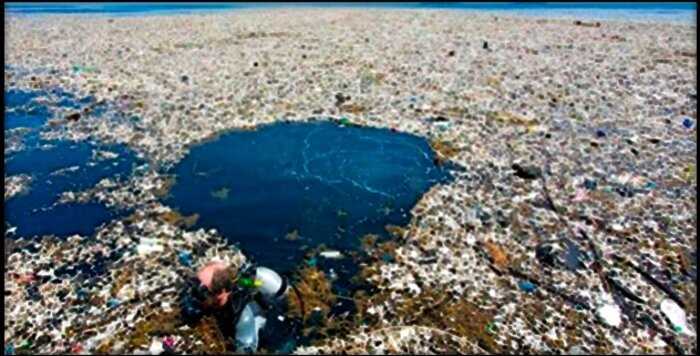 В Тихом океане из пластикового мусора образовался огромный остров