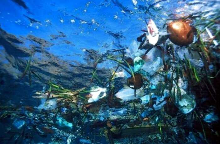В Тихом океане из пластикового мусора образовался огромный остров