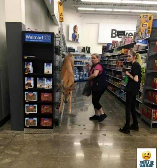 18+ отчаянных шопперов, которые пришли закупиться в магазин Walmart