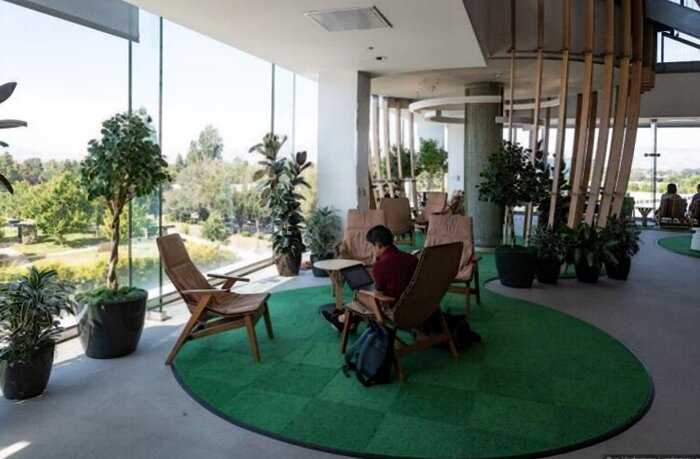 «Не работа, а курорт»: 30+ фото о том, как устроен офис Гугла