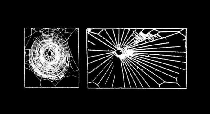 Ученые дали паукам препараты, чтобы посмотреть, какие паутины они будут плести