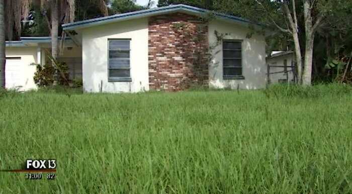 В США законопослушный мужчина не подстриг газон и лишился своего дома