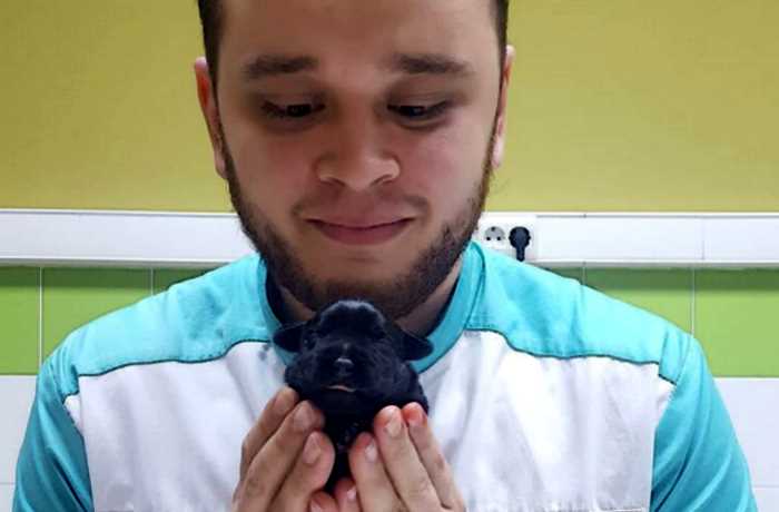 Российскому ветеринару грозит тюрьма за то, что он спасал животных от смерти