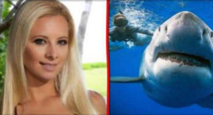 «Красавица и чудовища»: смелая красавица с Гавайев спасает белых акул