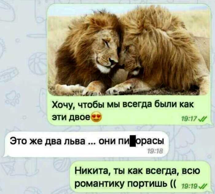 15+ убойных примеров чисто мужской логики, которая поражает женщин