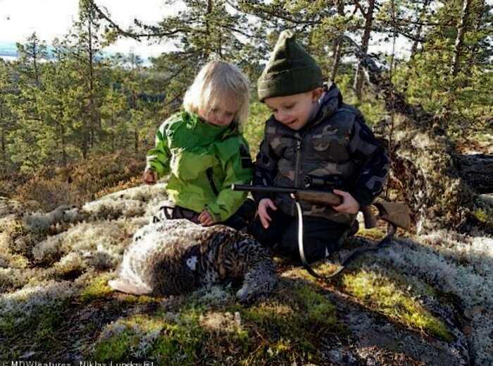 Житель Швеции с детства приучает детей убивать животных, чтобы были ближе к природе