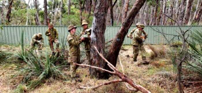Солдаты австралийской армии потратили свой отпуск на уход за коалами