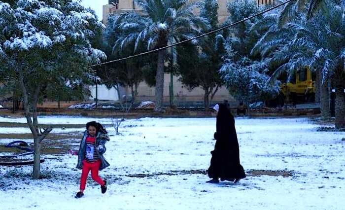 «Когда природа глюканула»: в Багдаде впервые за 12 лет выпал снег