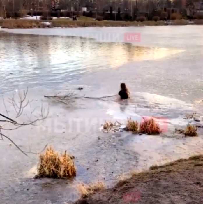 В Мытищах девушка рискнула собой, бросившись спасать собаку в ледяной воде