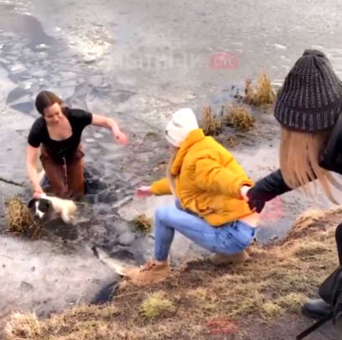 В Мытищах девушка рискнула собой, бросившись спасать собаку в ледяной воде