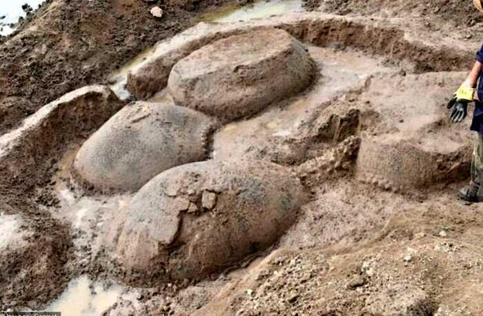В Аргентине обнаружены панцири доисторических броненосцев размером с авто