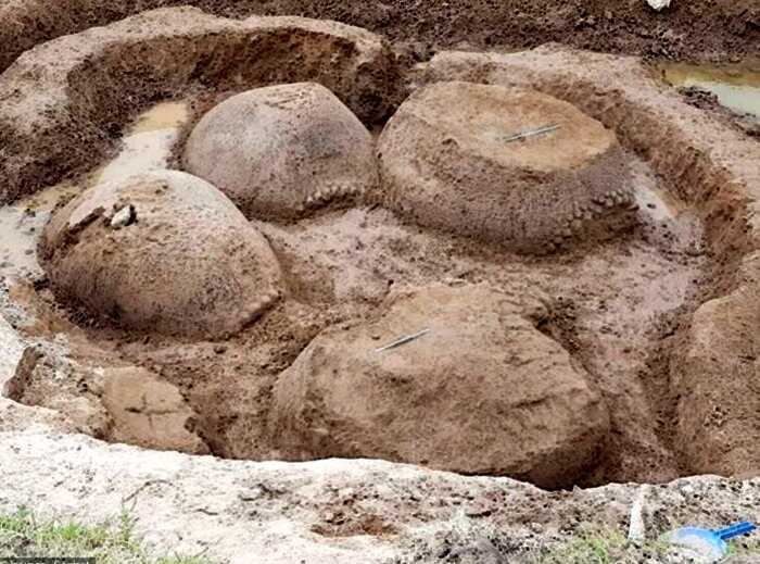В Аргентине обнаружены панцири доисторических броненосцев размером с авто