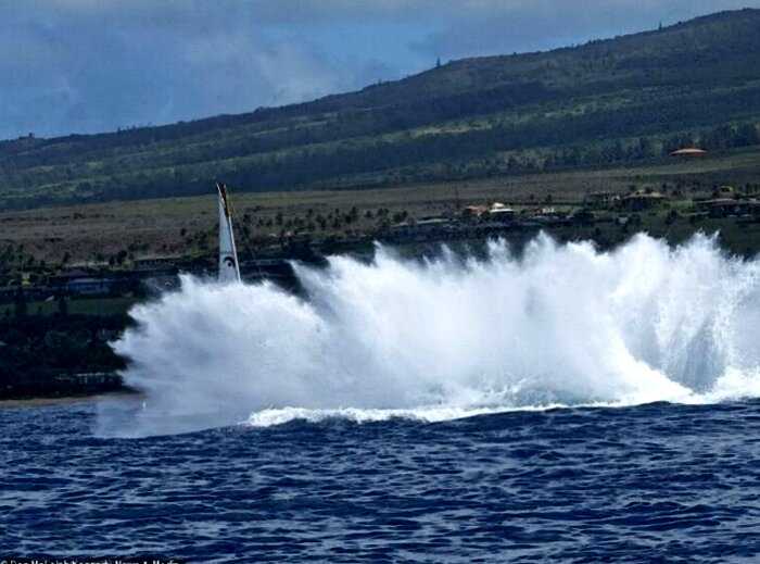 На Гавайях игантский кит выпрыгнул перед лодкой, чтобы предупредить людей