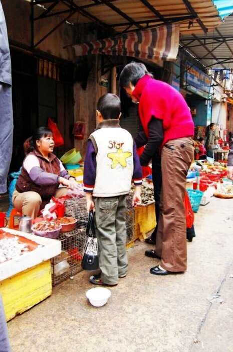 Почему даже коронавирус не заставил китайцев прекратить есть всякую дичь