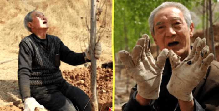 Пенсионер без ног посадил 17 тыс деревьев