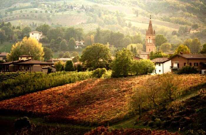 В Италии из кранов вместо воды потекло вино