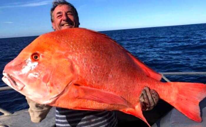 Австралиец поймал самую большую рыбу в жизни и отдал ее ученым