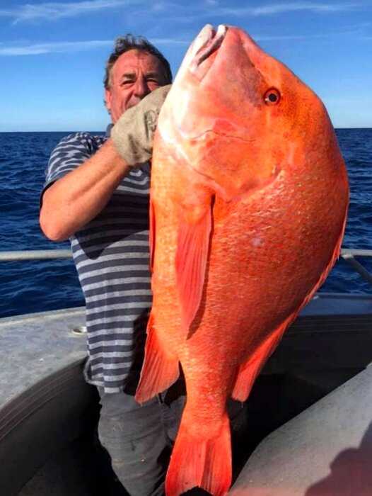 Австралиец поймал самую большую рыбу в жизни и отдал ее ученым