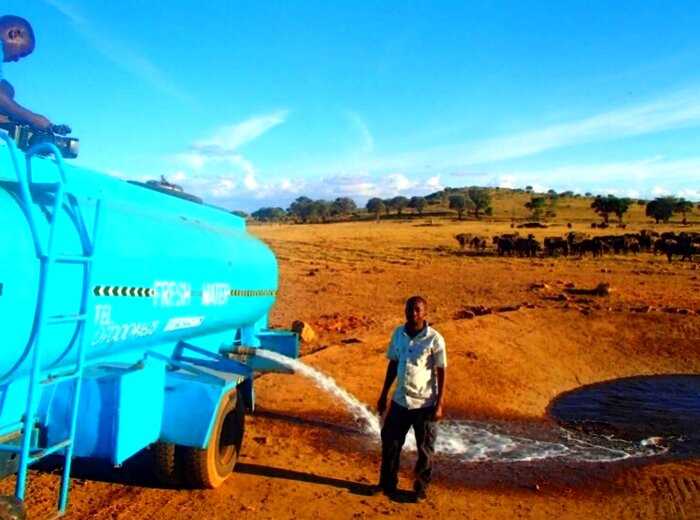 Мужчина возит 11000 литров воды в день для изнывающих от жажды животных